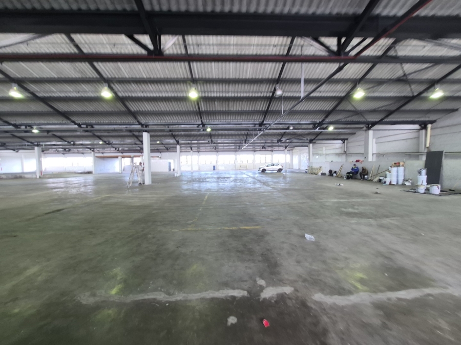 To Let Commercial Property for Rent in Paarden Eiland Western Cape